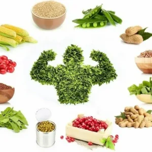 BATIDO DIET 100% VEGANO